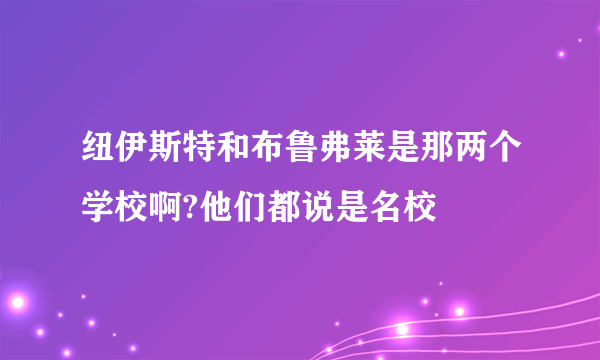 纽伊斯特和布鲁弗莱是那两个学校啊?他们都说是名校