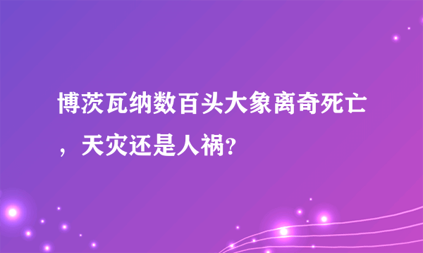 博茨瓦纳数百头大象离奇死亡，天灾还是人祸？