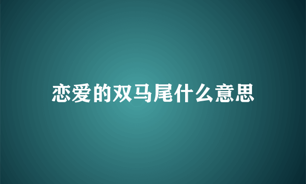 恋爱的双马尾什么意思