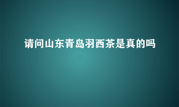 请问山东青岛羽西茶是真的吗