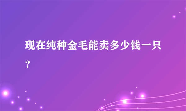 现在纯种金毛能卖多少钱一只？