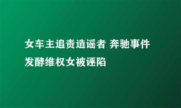 女车主追责造谣者 奔驰事件发酵维权女被诬陷