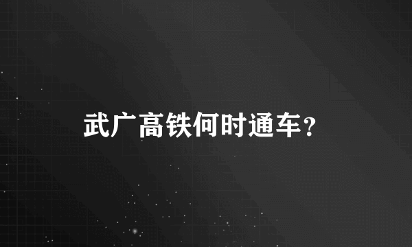 武广高铁何时通车？