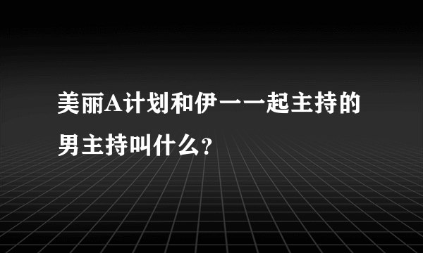 美丽A计划和伊一一起主持的男主持叫什么？