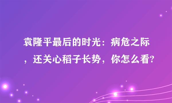 袁隆平最后的时光：病危之际，还关心稻子长势，你怎么看?