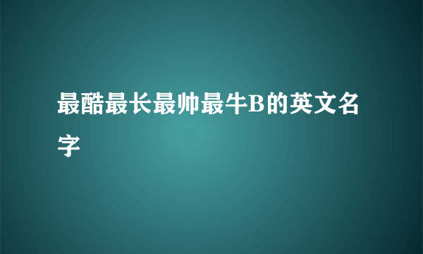 最酷最长最帅最牛B的英文名字