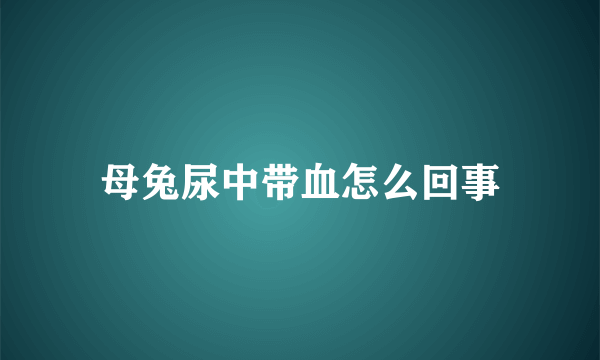 母兔尿中带血怎么回事