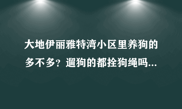 大地伊丽雅特湾小区里养狗的多不多？遛狗的都拴狗绳吗？有流浪宠物吗？