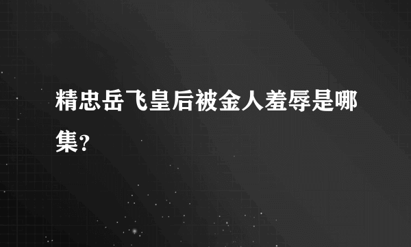 精忠岳飞皇后被金人羞辱是哪集？