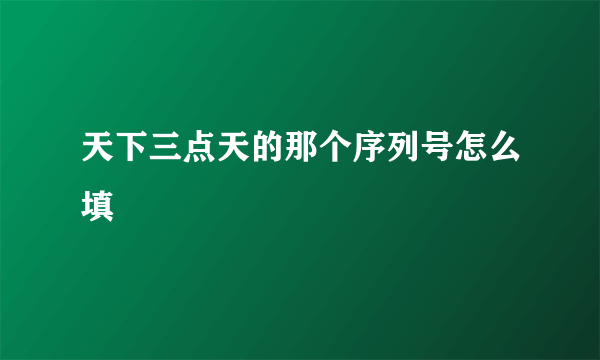 天下三点天的那个序列号怎么填