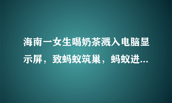 海南一女生喝奶茶溅入电脑显示屏，致蚂蚁筑巢，蚂蚁进入电脑中该怎么办？