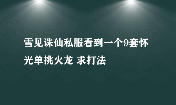 雪见诛仙私服看到一个9套怀光单挑火龙 求打法