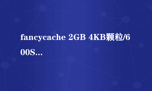 fancycache 2GB 4KB颗粒/600S延写+RAMdisk 1GB 缓存各种浏览器..系统TEMP..WINRAR后..