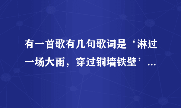 有一首歌有几句歌词是‘淋过一场大雨，穿过铜墙铁壁’这首歌叫什么？