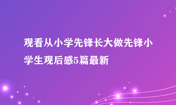 观看从小学先锋长大做先锋小学生观后感5篇最新