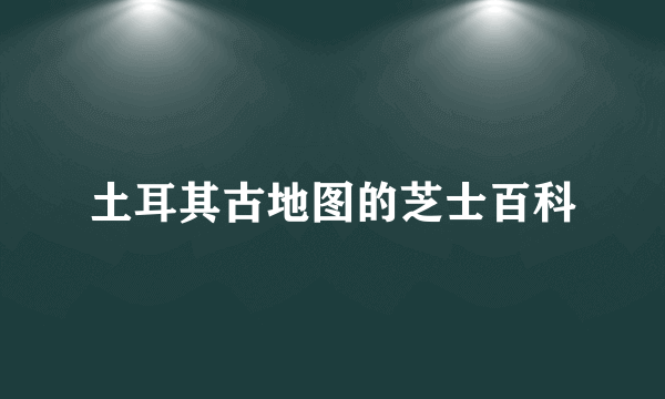 土耳其古地图的芝士百科