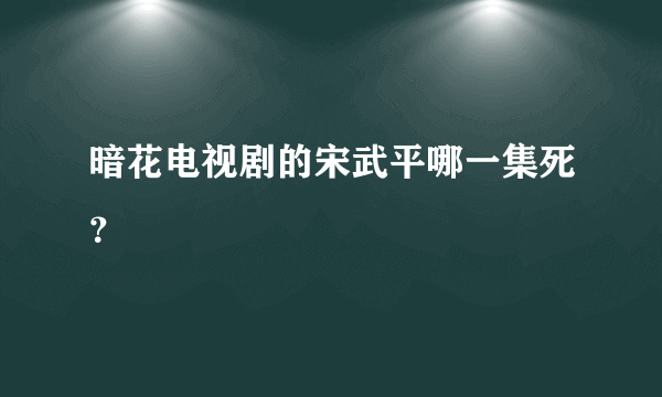 暗花电视剧的宋武平哪一集死？