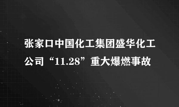 张家口中国化工集团盛华化工公司“11.28”重大爆燃事故