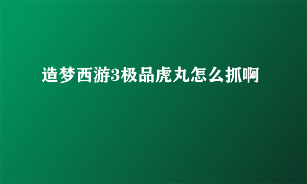 造梦西游3极品虎丸怎么抓啊