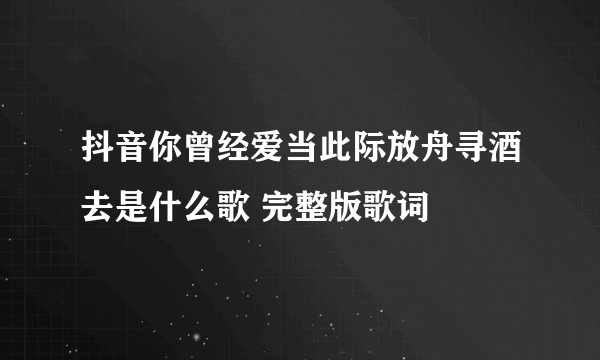 抖音你曾经爱当此际放舟寻酒去是什么歌 完整版歌词