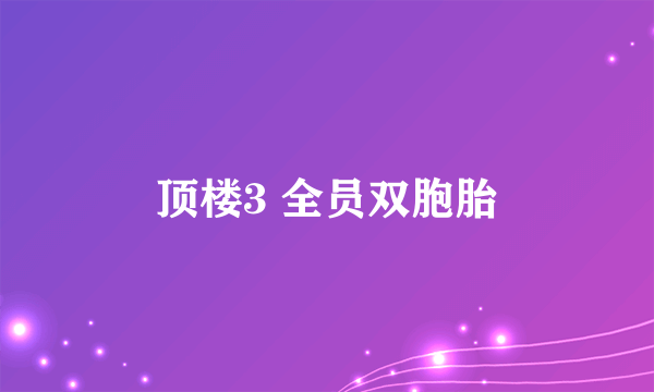 顶楼3 全员双胞胎