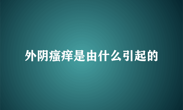 外阴瘙痒是由什么引起的