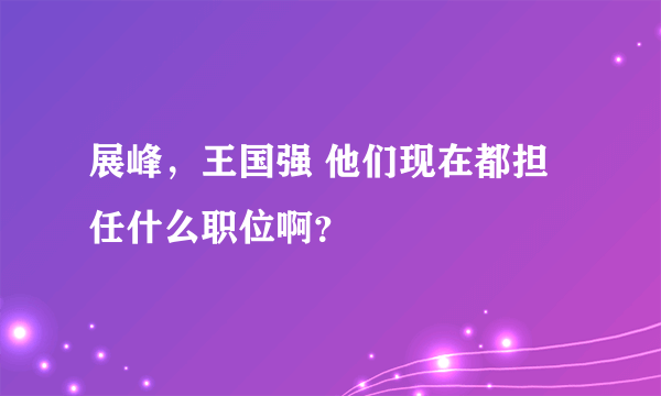 展峰，王国强 他们现在都担任什么职位啊？