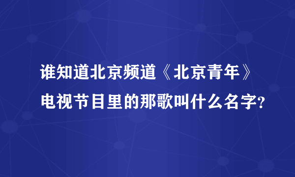 谁知道北京频道《北京青年》电视节目里的那歌叫什么名字？
