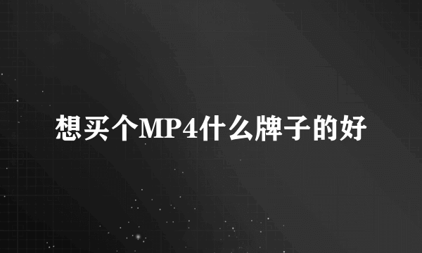 想买个MP4什么牌子的好