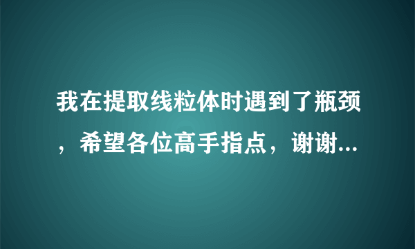 我在提取线粒体时遇到了瓶颈，希望各位高手指点，谢谢！ 我使用的是碧云天的线粒体提取试剂盒，在提取过程