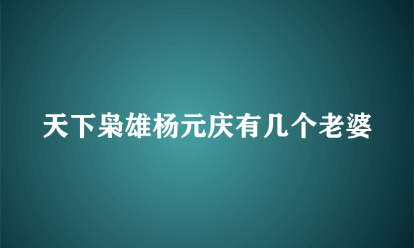 天下枭雄杨元庆有几个老婆