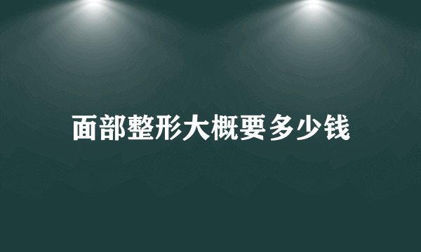 面部整形大概要多少钱