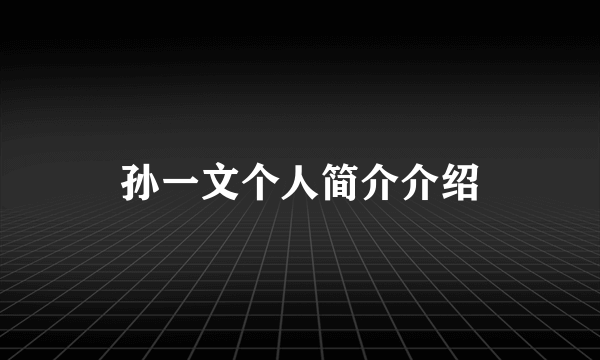 孙一文个人简介介绍