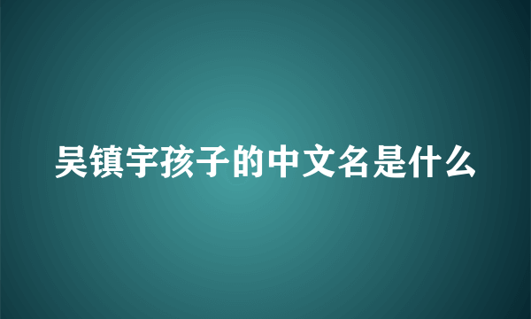 吴镇宇孩子的中文名是什么