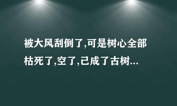 被大风刮倒了,可是树心全部枯死了,空了,己成了古树,请问有救吗?