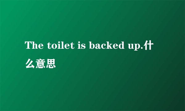 The toilet is backed up.什么意思