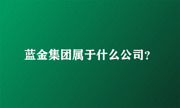 蓝金集团属于什么公司？