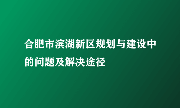 合肥市滨湖新区规划与建设中的问题及解决途径