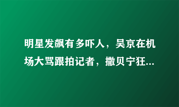 明星发飙有多吓人，吴京在机场大骂跟拍记者，撒贝宁狂怼张绍刚？