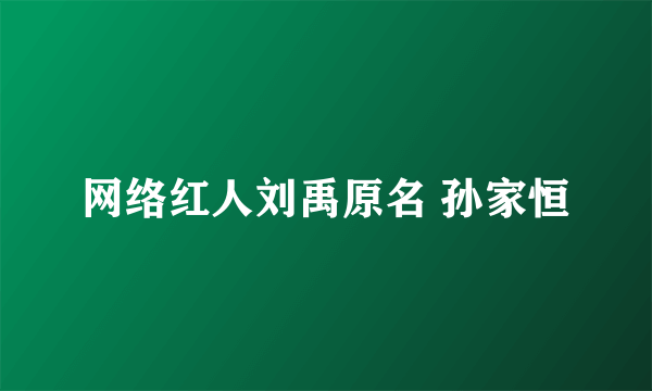 网络红人刘禹原名 孙家恒