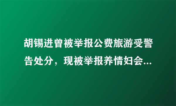 胡锡进曾被举报公费旅游受警告处分，现被举报养情妇会怎么处罚？