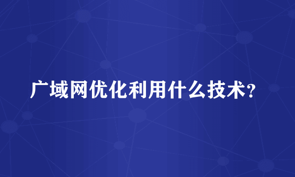 广域网优化利用什么技术？