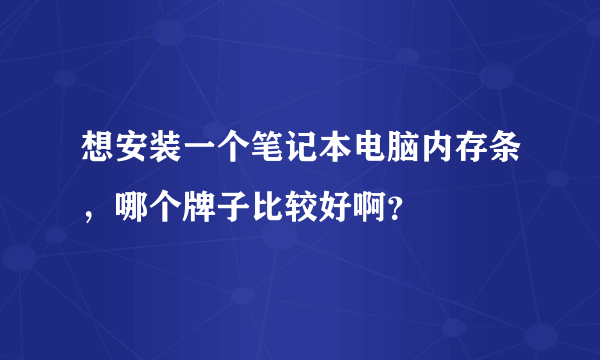 想安装一个笔记本电脑内存条，哪个牌子比较好啊？