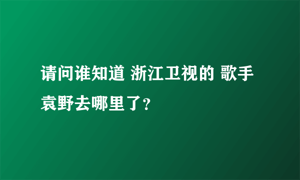 请问谁知道 浙江卫视的 歌手 袁野去哪里了？