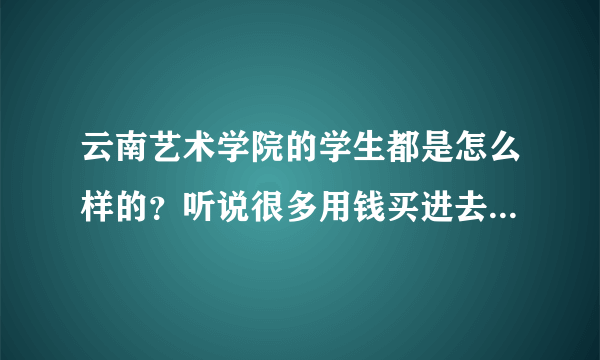 云南艺术学院的学生都是怎么样的？听说很多用钱买进去的,风气也不好……，希望得到详细真实客观的解答。