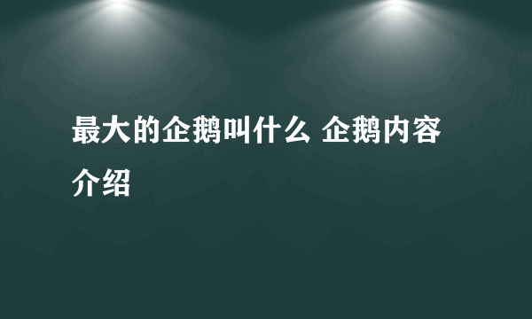 最大的企鹅叫什么 企鹅内容介绍