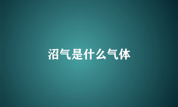 沼气是什么气体