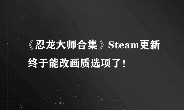 《忍龙大师合集》Steam更新 终于能改画质选项了！