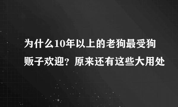 为什么10年以上的老狗最受狗贩子欢迎？原来还有这些大用处