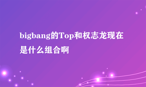 bigbang的Top和权志龙现在是什么组合啊